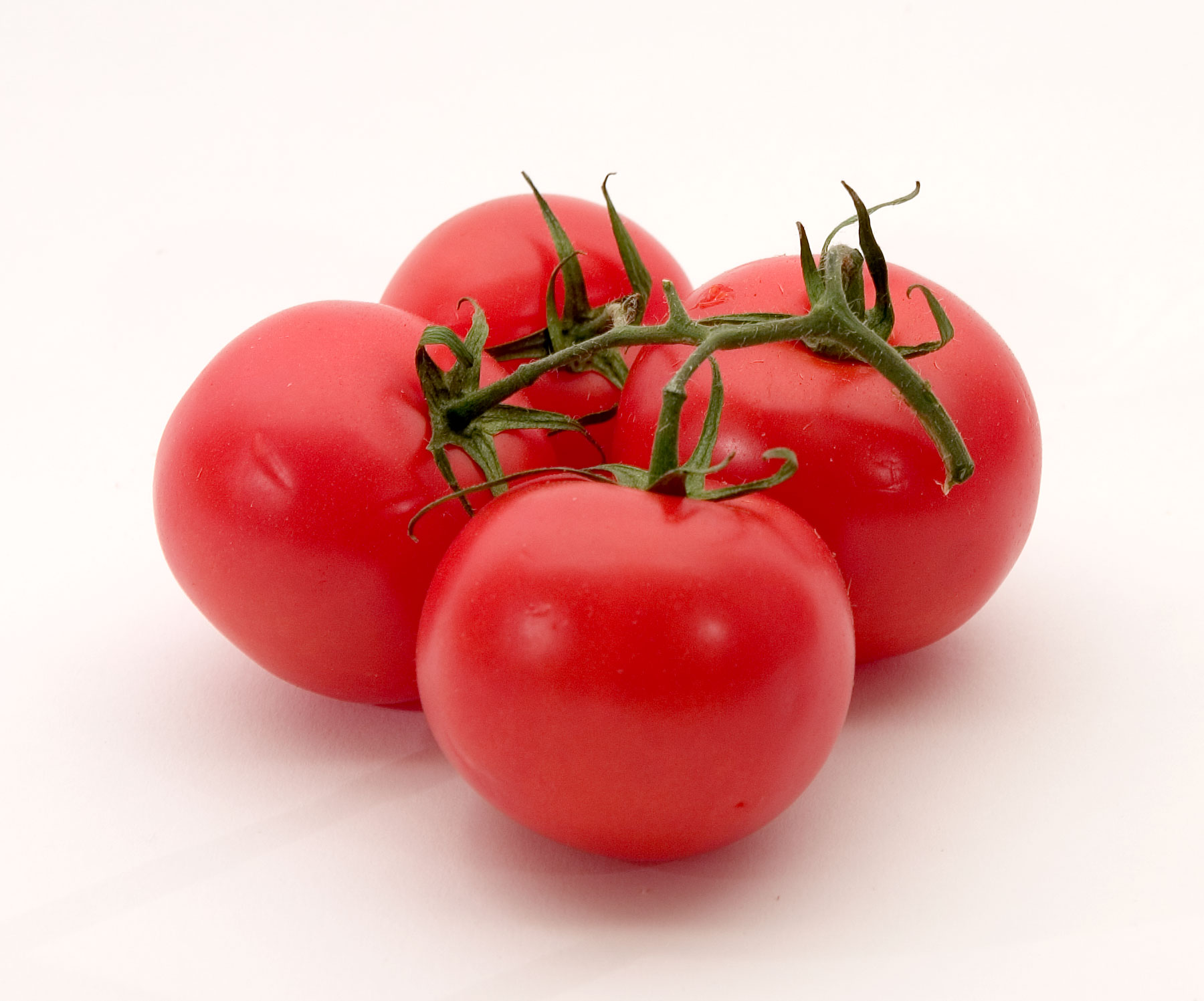 Tomatoes Tomatoes